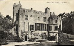 VINTAGE POSTCARD Creully the Castle
