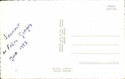 MODERN CARD faithful Delivrande Virgin Basilica