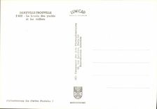 CPM Deauville Le Bassin des Yachts et les voiliers Bateaux