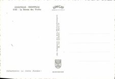 CPM Deauville Le Bassin des Yachts Bateaux