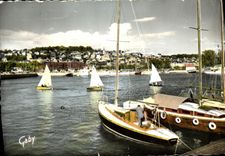 MODERN CARD Deauville Flowered Beach the Basin of the Yachts Boats