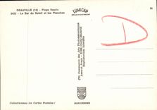 MODERN CARD Deauville Flowered Beach the Bar of the Sun and Boards