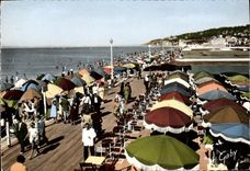 CPM Deauville Plage Fleurie Le Bar du Soleil sur la Plage