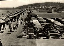 MODERN CARD Deauville Flowered Beach the Flowered beach the bar of the sun and boards