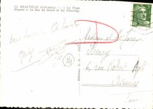 MODERN CARD Deauville Flowered Beach the Flowered beach the bar of the sun and boards