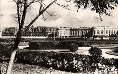 VINTAGE POSTCARD Deauville Flowered Beach the Casino Normandy Hotel