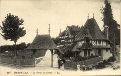 VINTAGE POSTCARD Deauville the Flowered Beach the femre of the slope