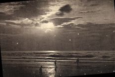 VINTAGE POSTCARD Deauville the Flowered Beach Sunset