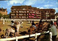 MODERN CARD Deauville the pony club hippism Horses