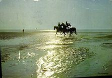 CPM Deauville Cavaliers Effet de contre jour 