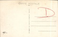 VINTAGE POSTCARD Deauville Plge Flowered Royal Hotel