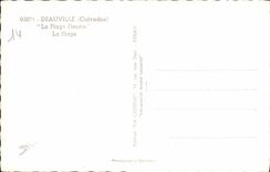 CPA Deauville La Plage Fleurie La Plage