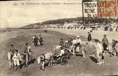CPA Deauville Plage Fleurie Voiture a ane