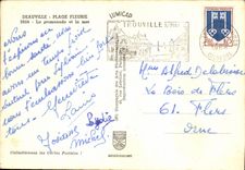 POSTAL MODERNA la playa florecida Deauville tiene la caminata y el mar