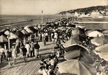 CPM Deauville Plage Fleurie La Plage La Promenade et le Bar du Soleil