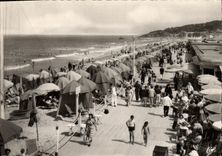 POSTAL MODERNA Deauville florecio los tableros de la playa y la barra del Sun