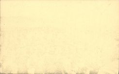 CPA Deauville La Plage Fleurie Les Planches 