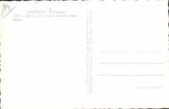 MODERN CARD Honfleur Entered D a Yacht the old port Boats