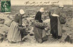 VINTAGE POSTCARD Honfleur Retour of Moulieres Fishes TOP