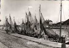 MODERN CARD Honfleur Vessel Fishing has Bateaux quay