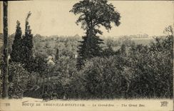 Camino de la POSTAL de la VENDIMIA de Honfleur Trouville el inyector grande