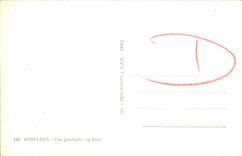 Opinion de Honfleur de la POSTAL de la VENDIMIA del puerto