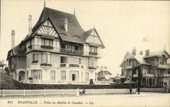 CPA Deauville Villas les Abeilles et Camelia