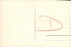 VINTAGE POSTCARD Deauville Flowered Beach Street of the Casino and Entry of the Casino