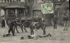 CPA Robinson La Bache