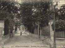 VINTAGE POSTCARD Wood Doves Avenue of the Houses