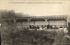 VINTAGE POSTCARD the Fight Antituberculeuse Sanatorium of Buzenval the Wood Cure