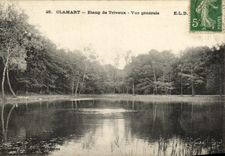 VINTAGE POSTCARD Clamart Pond of Trivaux View