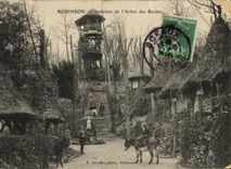 VINTAGE POSTCARD Robinson Interior of L Tree of the Rocks Asses Children