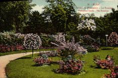 VINTAGE POSTCARD Rueil Castle of Malmaison the Rosery