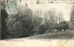 CPA Parc de Villeneuve L Etang L Arbre Couche