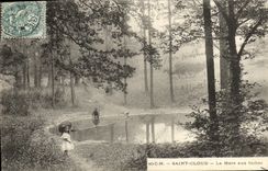 Parque de la POSTAL de la VENDIMIA de nube Saint la charca con el Hinds