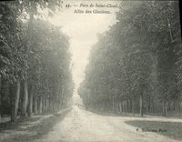 VINTAGE POSTCARD Park of Cloud Saint Large Alley of the Refrigerators