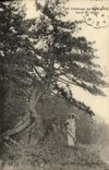 VINTAGE POSTCARD Sceaux Castle Rules of L winter