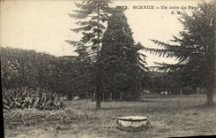 VINTAGE POSTCARD Seals a Corner of the Park
