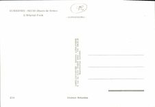 CPM Sevres L Hopital Foch