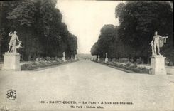 CPA Saint Cloud Le parc Allee des statues