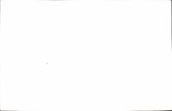 REPRO Garenne Junction of Doves