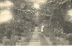 CPA Asnieres Le Jardin Modele Allee Principale