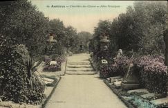 CPA Asnieres Cimetiere des Chiens Allee Principale