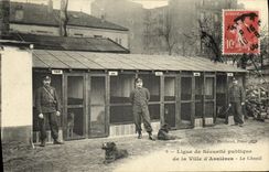 CPA Ligue de Securite Publique de la Ville d Asnieres Le Chenil Chiens