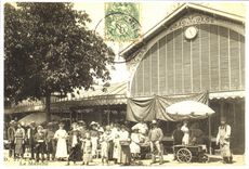 REPRO Garenne Doves Market