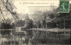 VINTAGE POSTCARD Meudon Drill Pond of Trivaux