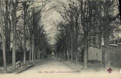 POSTAL Meudon L avenida de la VENDIMIA de Jacqueminot