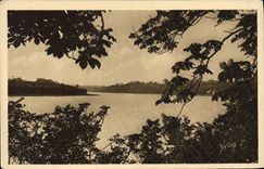 Bordes de Bretana de la POSTAL de la VENDIMIA de rancio con el roble de encina