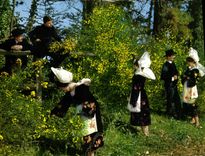 POSTAL MODERNA chicas jovenes del ceercle AR celtica Roued de Gals de Concarneau que recolecta el folklore de la escoba